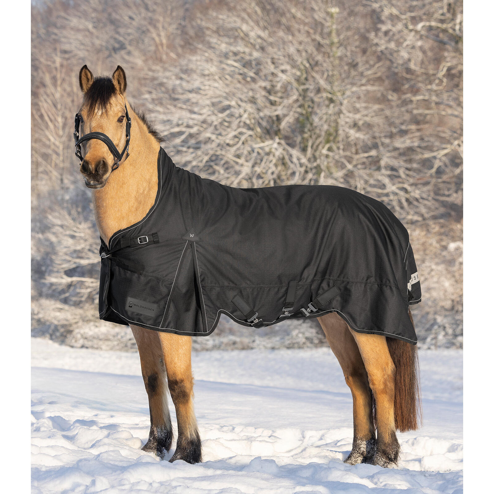 Couverture d'extérieur pour cheval col haut Waldhausen Scandic 0g 2/4