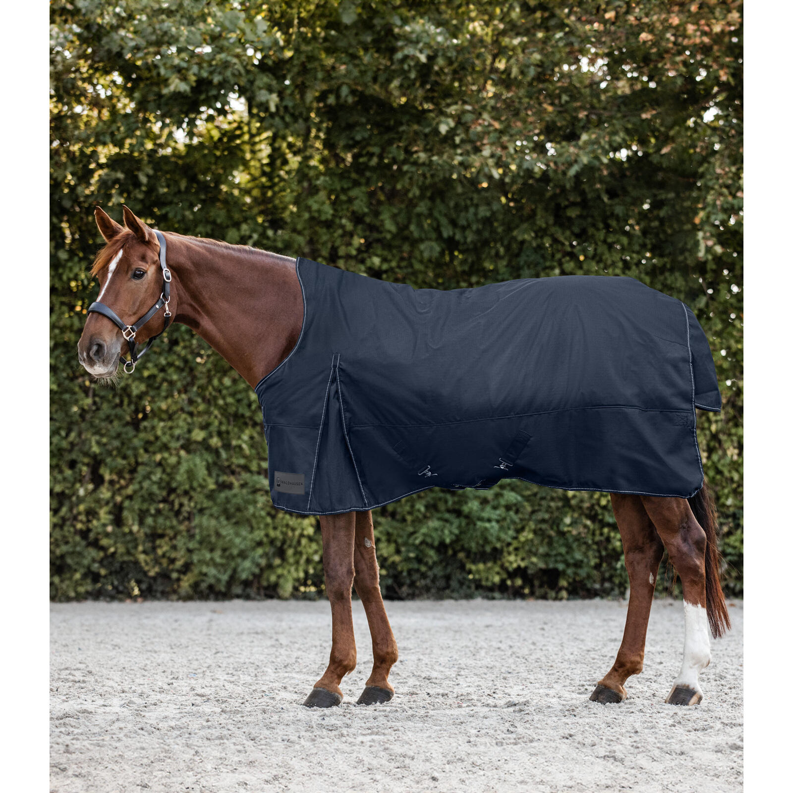 Waldhausen - Couverture D'Extérieur Pour Cheval Avec Couvre-cou Léger Waldhausen Nordic - Couverture Cheval - Bleu - 125 Cm - Decathlon