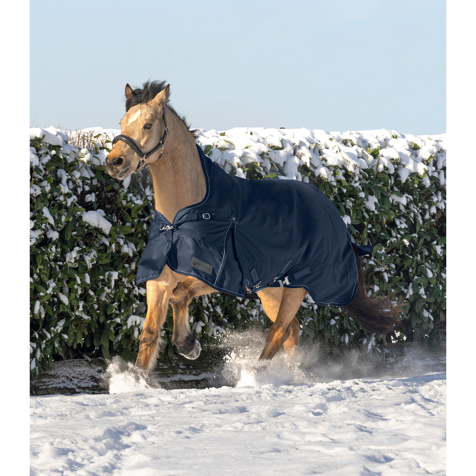Couverture d'extérieur pour cheval col haut Waldhausen Scandic 0g 4/4