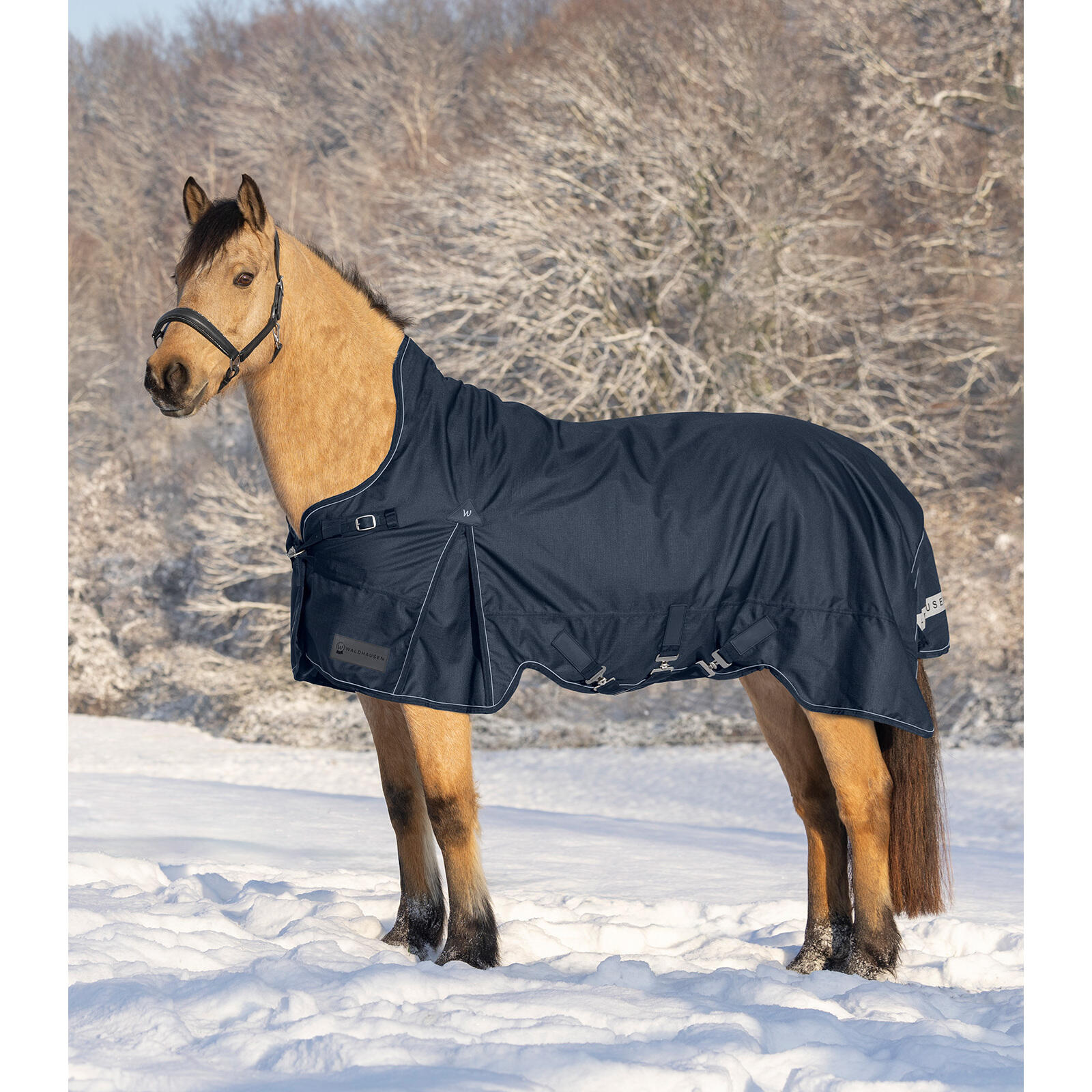 Couverture d'extérieur pour cheval col haut Waldhausen Scandic 0g 2/4