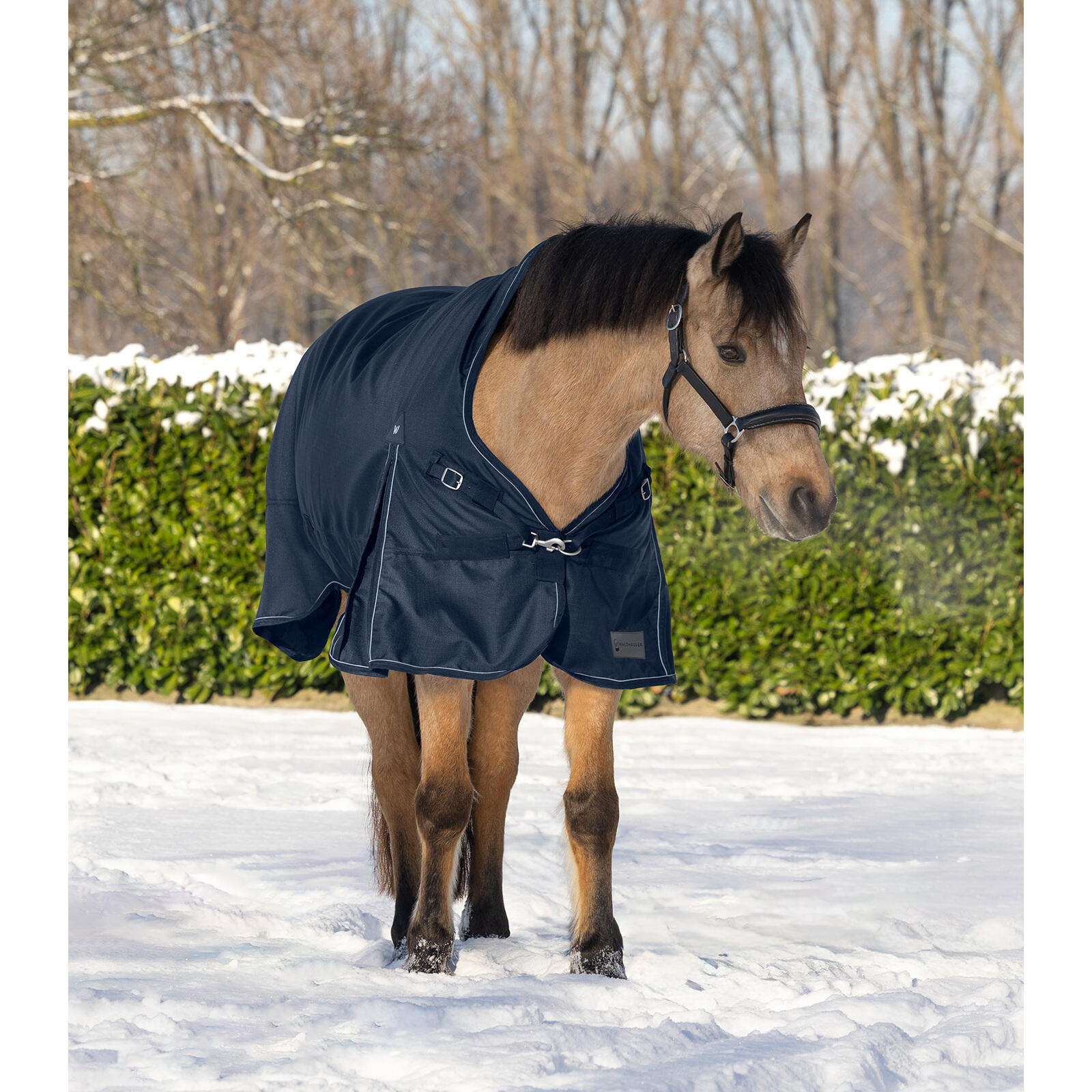 Couverture d'extérieur pour cheval col haut Waldhausen Scandic 0g 3/4