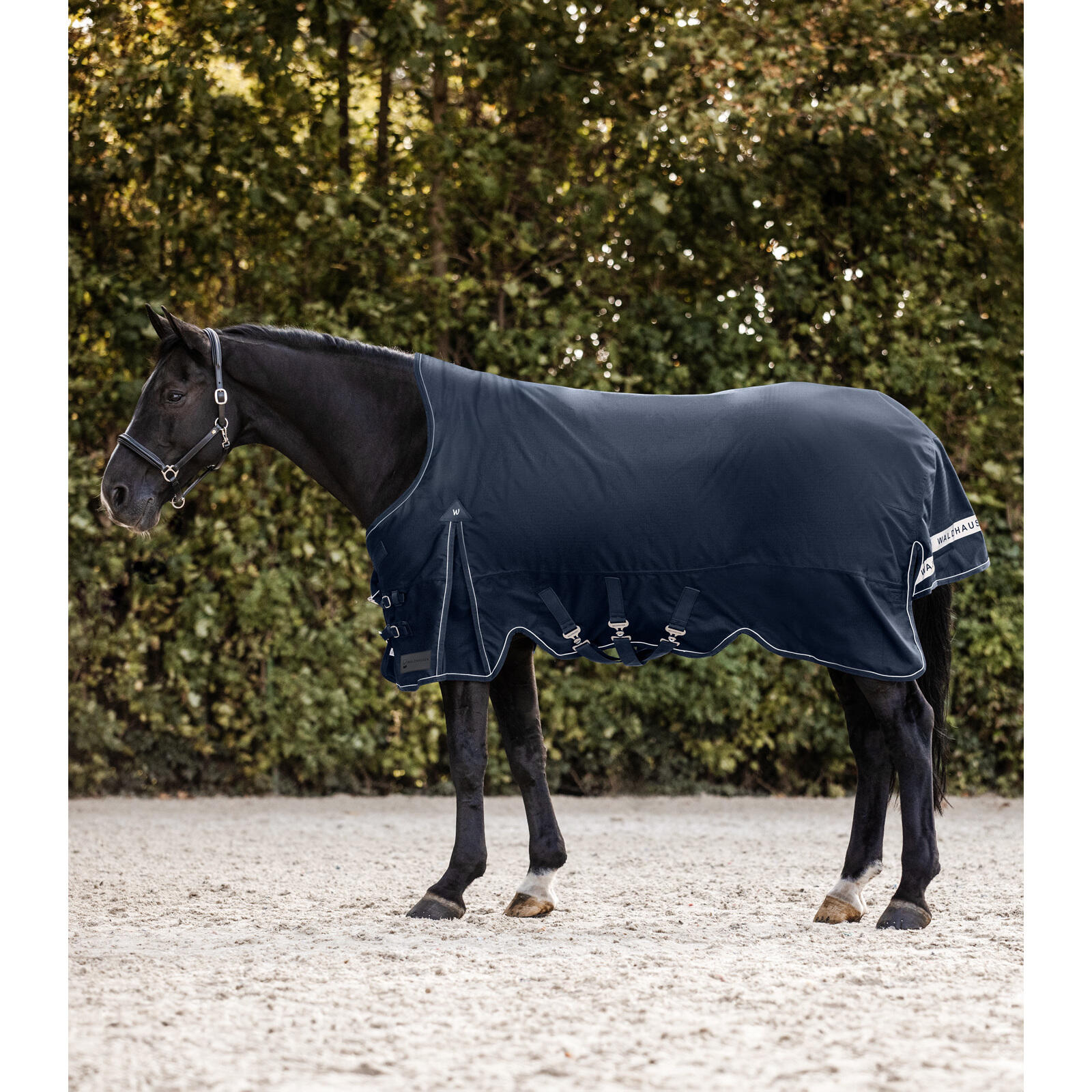 Waldhausen - Couverture D'Extérieur Pour Cheval Col Haut Waldhausen Scandic 0g - Couverture Cheval - Bleu - 155 Cm - Decathlon
