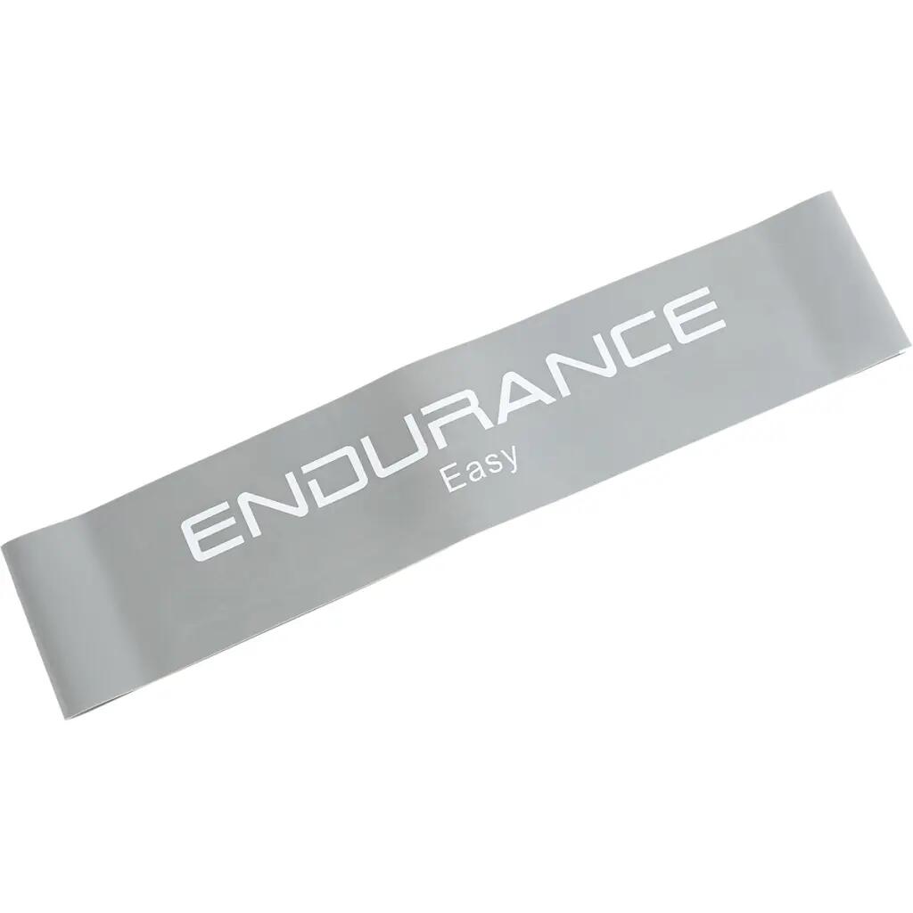 ENDURANCE picture