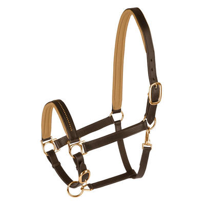 Halster voor paarden star diamond