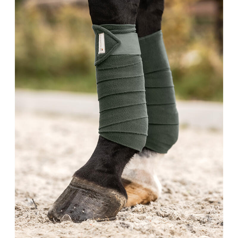 Paardenpolobanden Waldhausen Basic (x4)