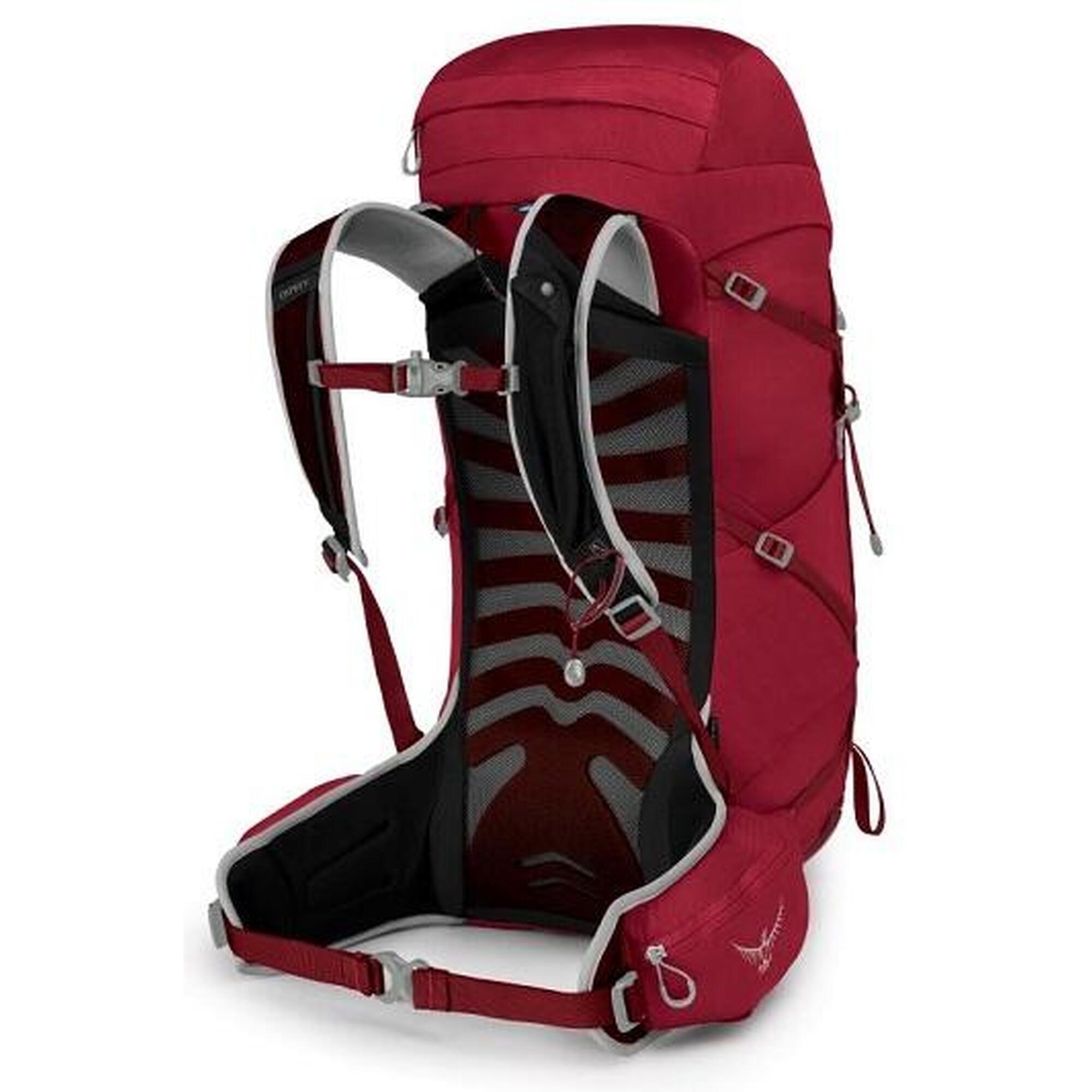 Rucsac Osprey Talon 33 Cosmic Red