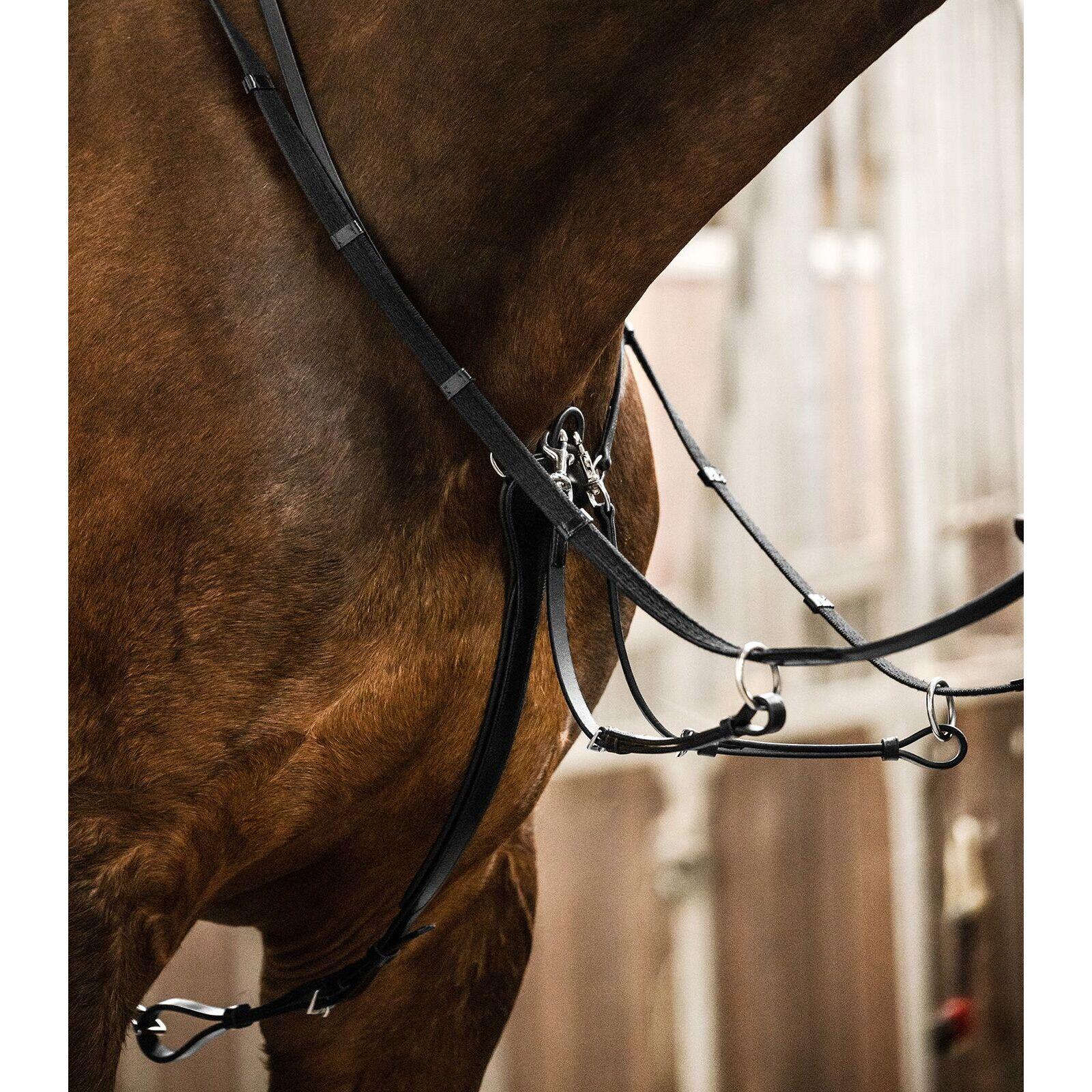 Martingale per cavalli professionale Waldhausen X-Line 3/3