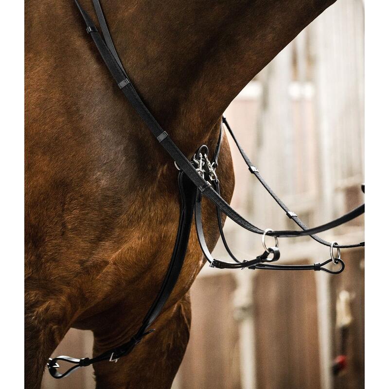 Martingale pour cheval professional Waldhausen X-Line