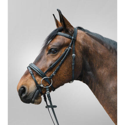 Bridon équitation muserolle combinée Star Diamond