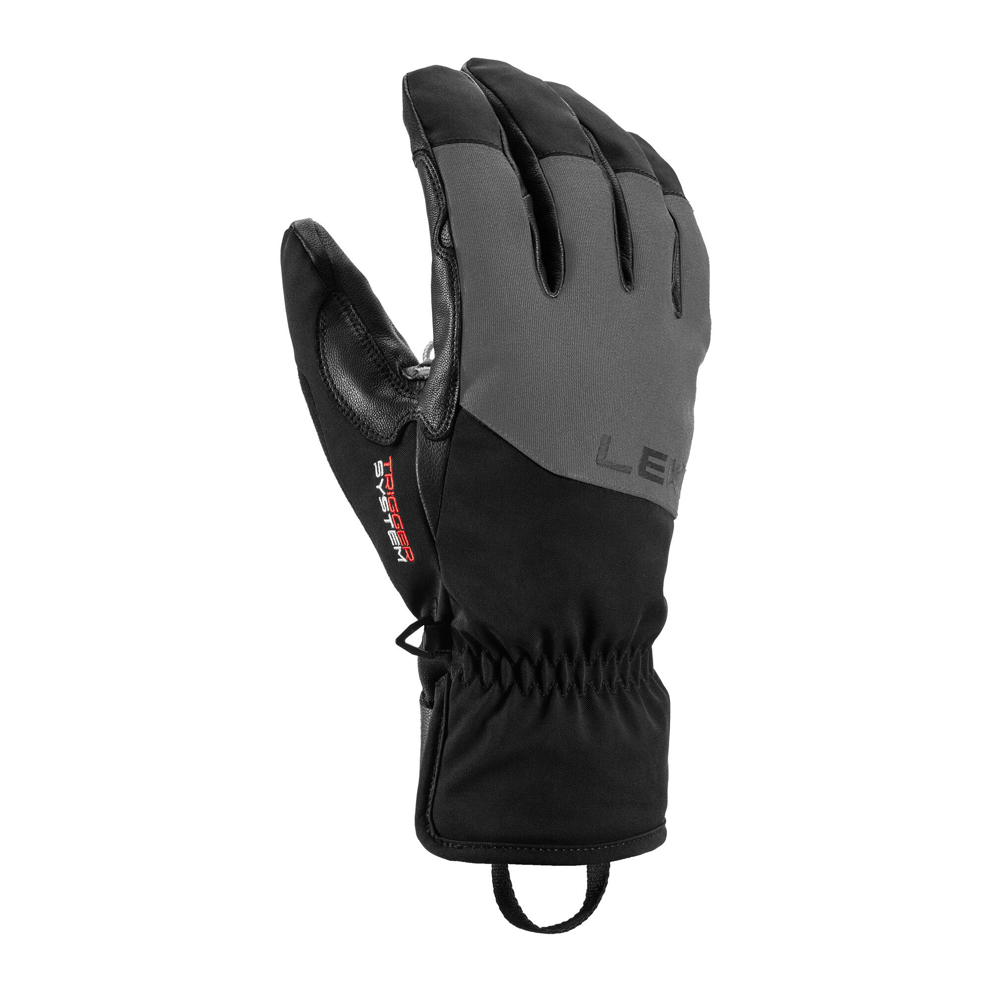 LEKI LEKI Pegas 3D GTX heren skihandschoenen