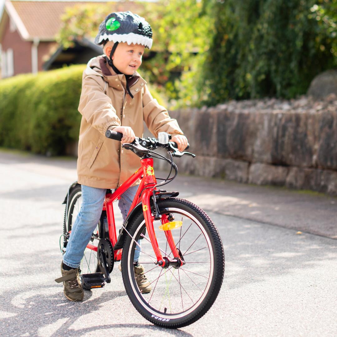 Frog Bikes Green Frog 53 Kids Hybrid Bike 20” Wheel | Age 5-7 | 8-Speed 3/3