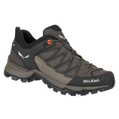 Trekking-Schuhe Frau Salewa Mtn Lite Braun