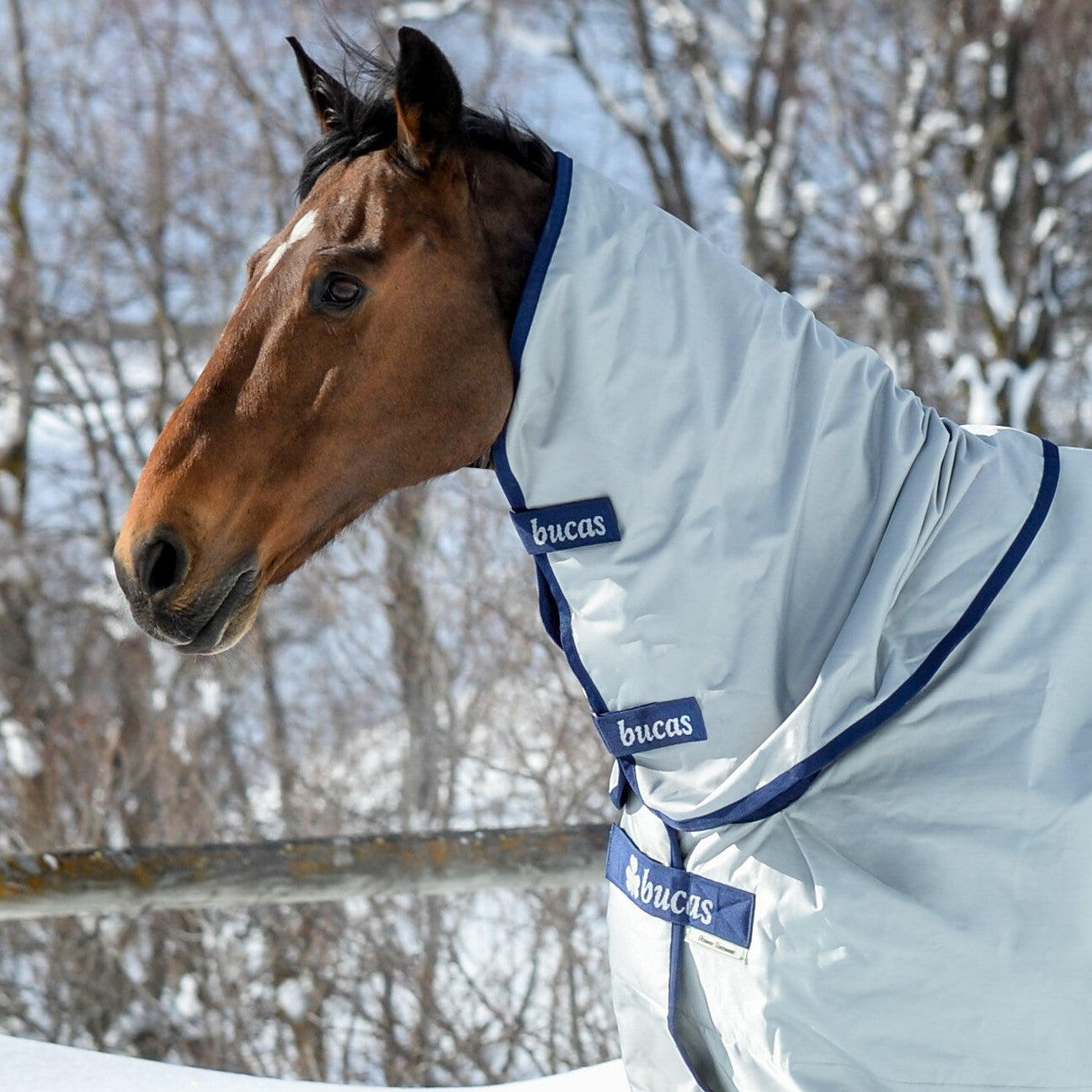 Couvre cou imperméable Power Turnout Neck 0g - Bucas 4/5