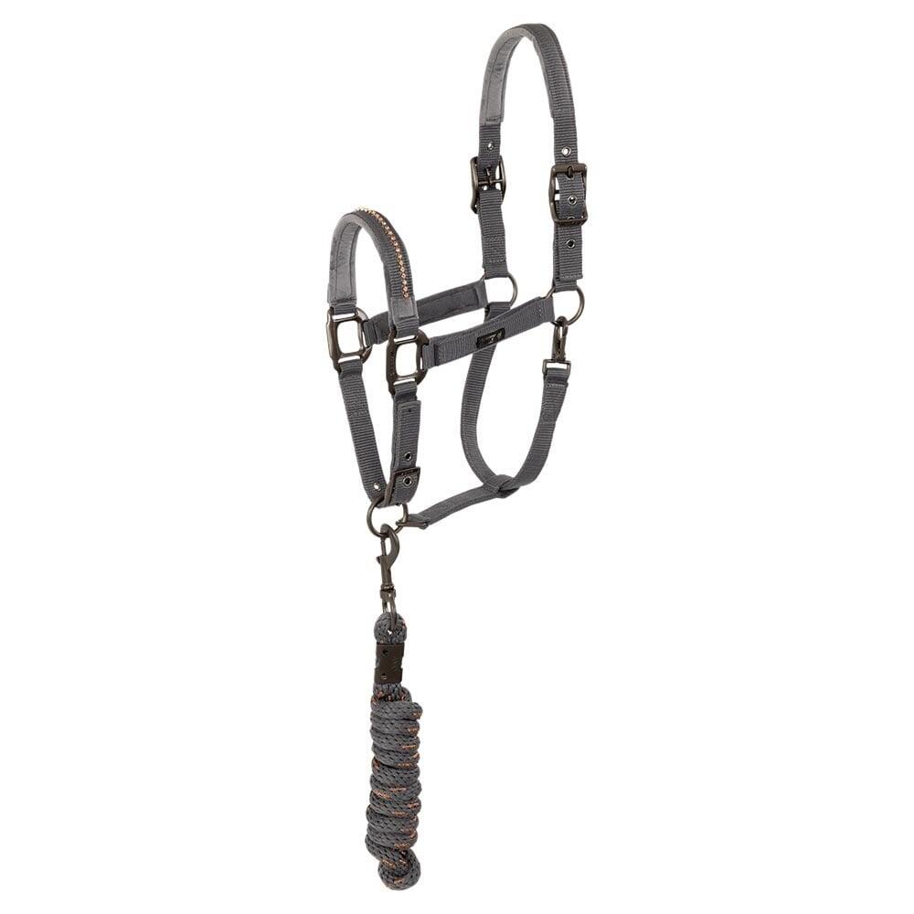 Leather halter and lead ANKY Stones