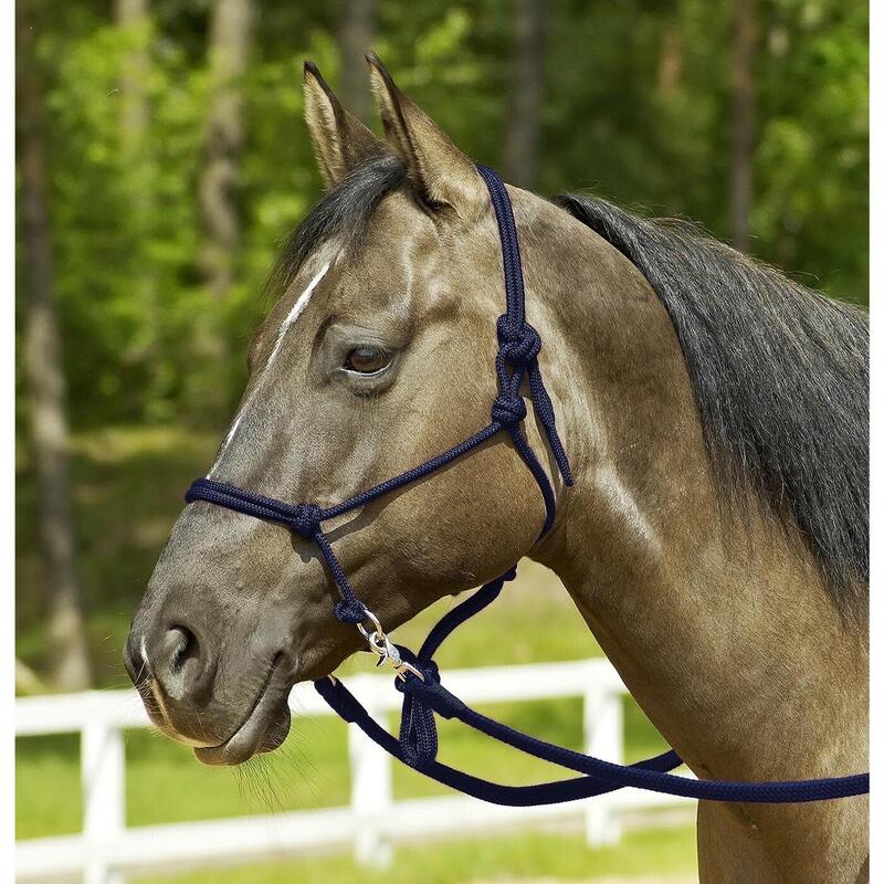 Paardrijden - Unisex -  Burgundy - -rope Halter Ringe