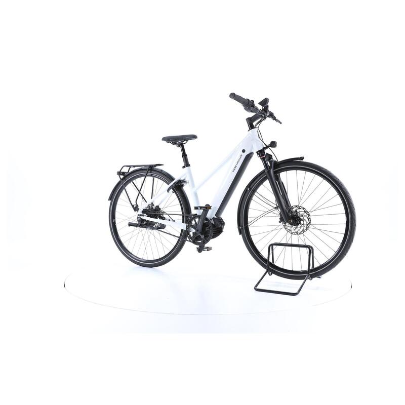 Reconditionné- Riese Müller Roadster 4 Mixte Vario Vélo électrique -Très Bon