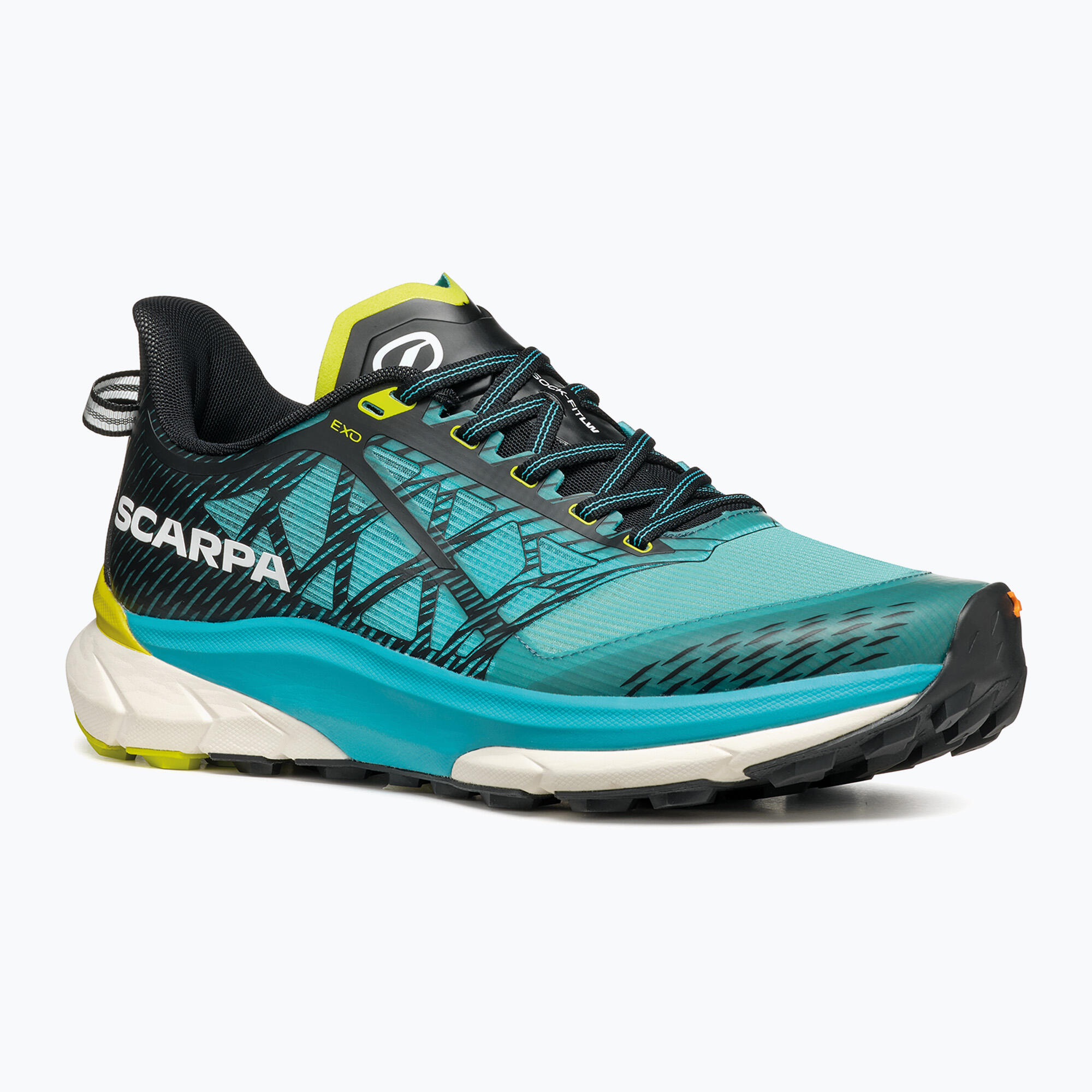 SCARPA picture