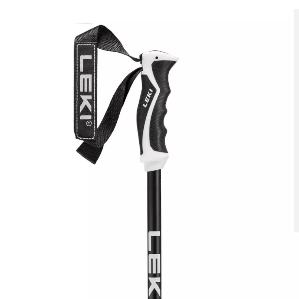 Alpin-Skistock Neolite 4/4