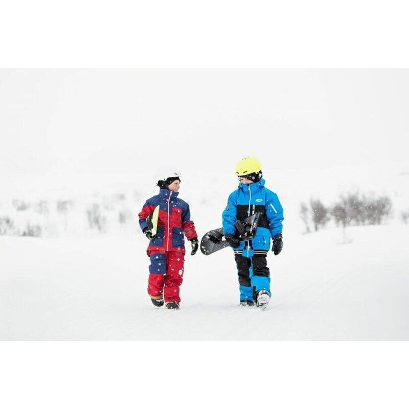 Snowboard Wild