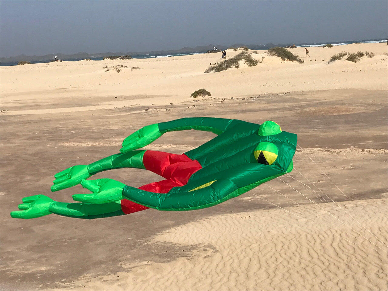 Cometa de una sola línea Spiderkites Wonderfrog 30037 Verde 135 x 210 cm 6/7