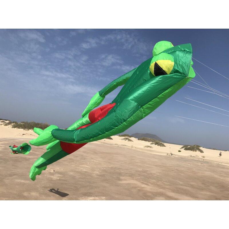 Cometa de una sola línea Spiderkites Wonderfrog 30037 Verde 135 x 210 cm 4/7