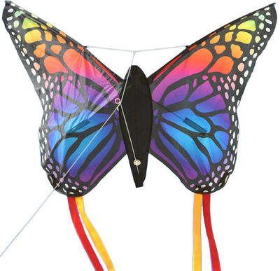 Kindervlieger spiderkites butterfly kite rainbow 140011 regenboog 90 x 66 cm