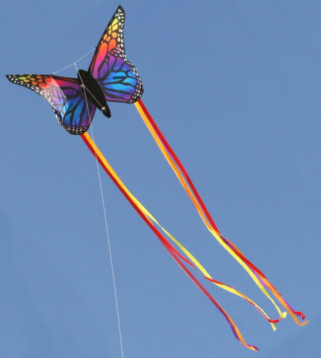 Kindervlieger Spiderkites Butterfly kite Rainbow 140011 Regenboog 90 x 66 cm 4/5