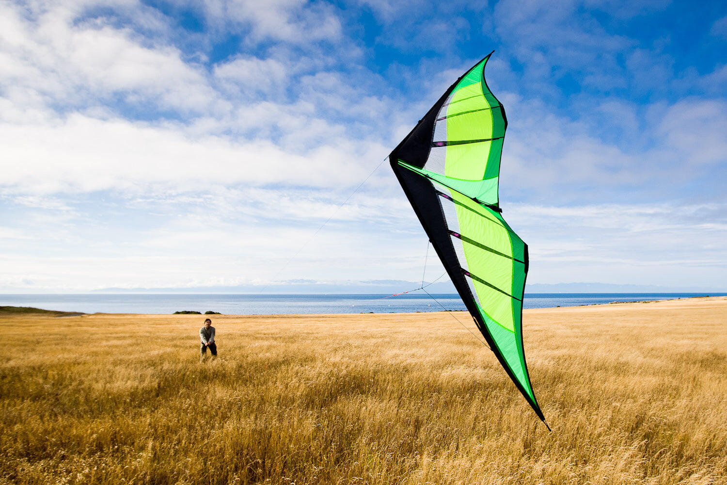 Aquilone acrobatico Prism Hypnotist Citrus HYPC Verde 239 cm 3/5