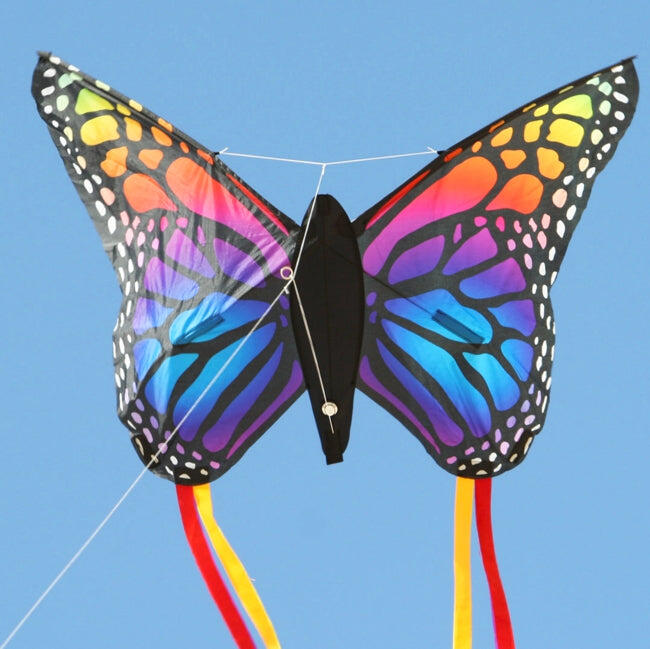 Kindervlieger Spiderkites Butterfly kite Rainbow 140011 Regenboog 90 x 66 cm 3/5