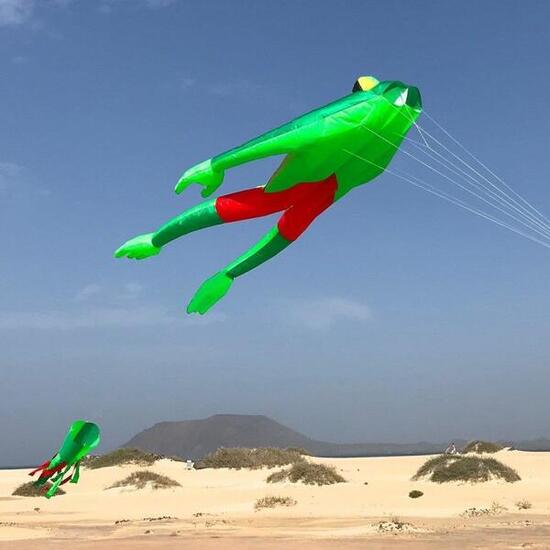 Einleiner Drachen Spiderkites Wonderfrog 30037 Grün 135 x 210 cm