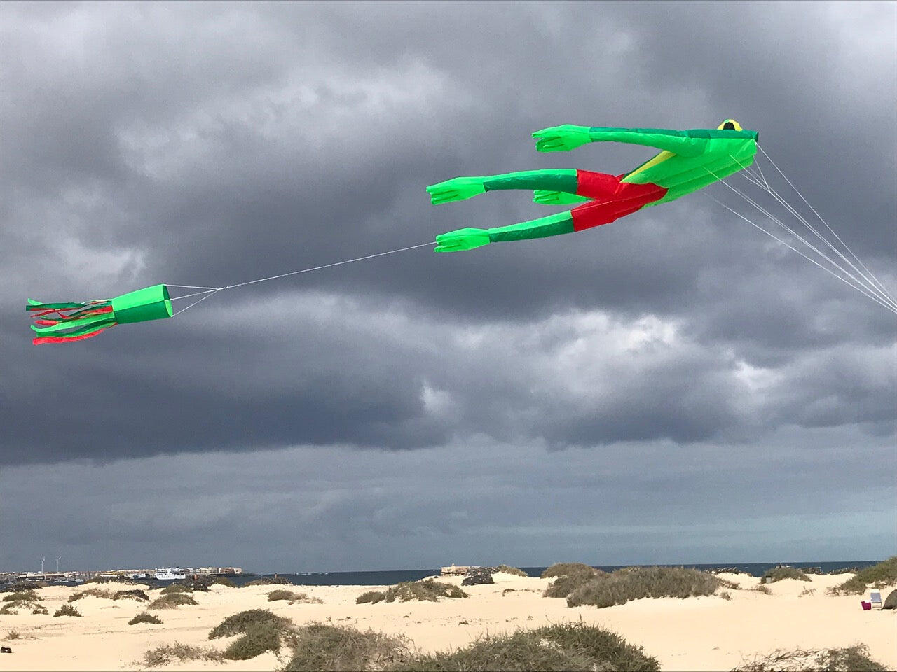 Cometa de una sola línea Spiderkites Wonderfrog 30037 Verde 135 x 210 cm 5/7