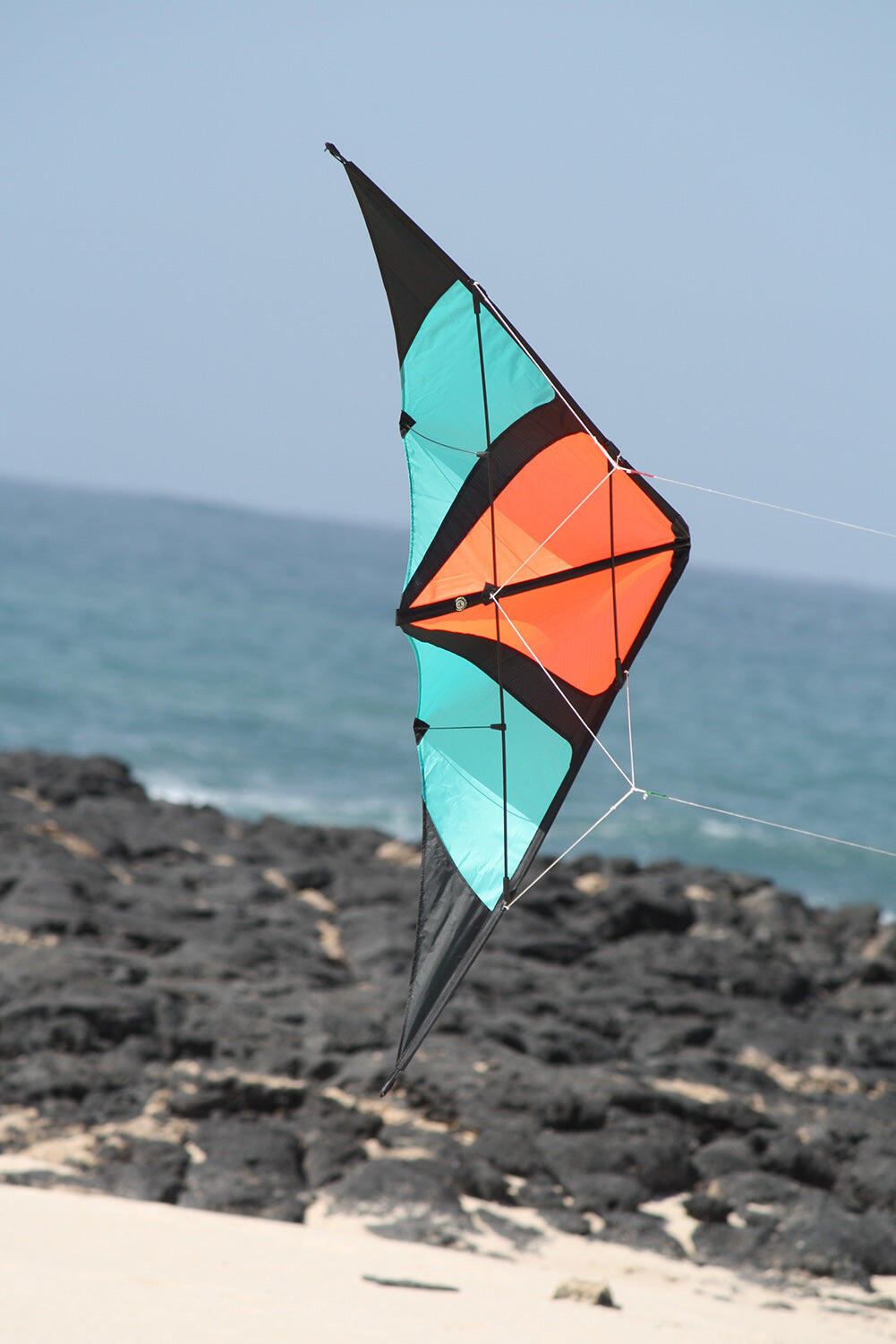 Papagaio atordoante Spiderkites Wingman Orange 20019 Laranja 150 x 63 cm 4/5