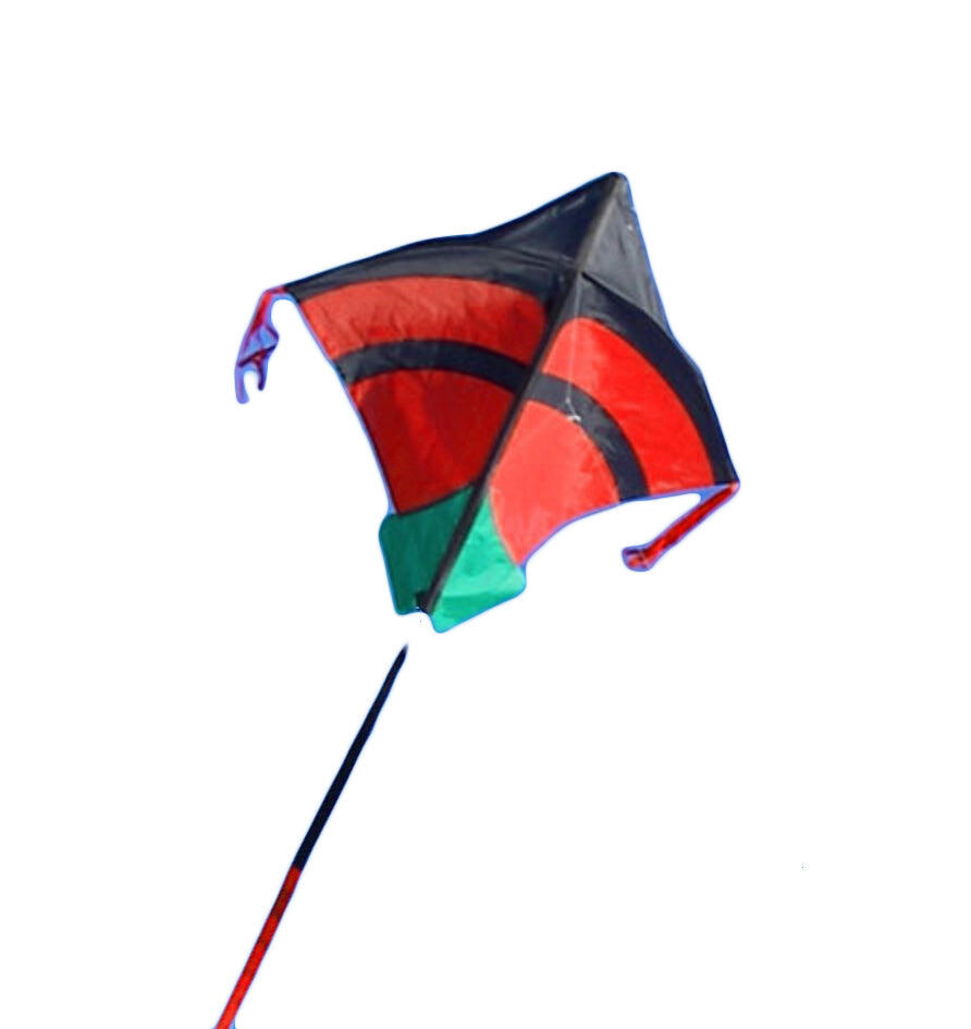 SPIDERKITES picture