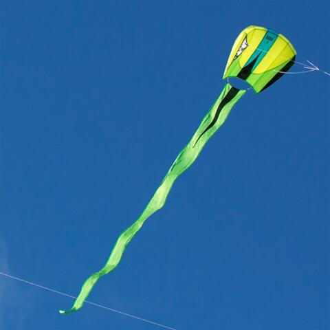Pipa de uma linha Prism Bora 7 Jade 7BORY Verde 124 x 81 cm 4/4