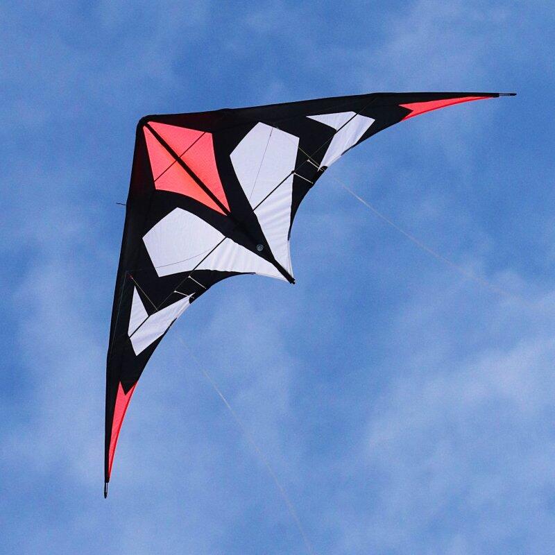 SPIDERKITES picture