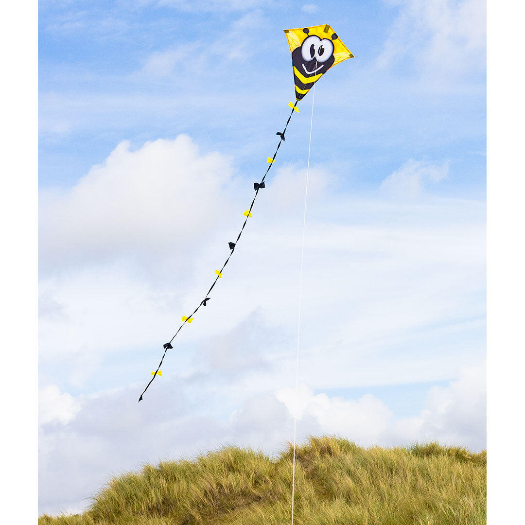 Kinderdrachen HQ Eddy 50 Bumble Bee 102109 Gelb 45 x 50 cm 5/6