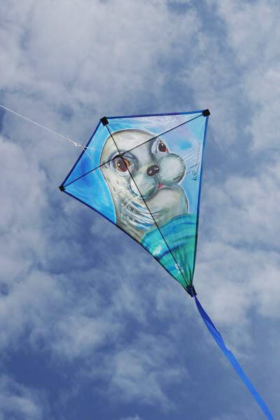 Cerf-volant pour enfants Elliot Eddy 75 Zoe Zeehond 1010252 Bleu 75 x 75 cm 3/3