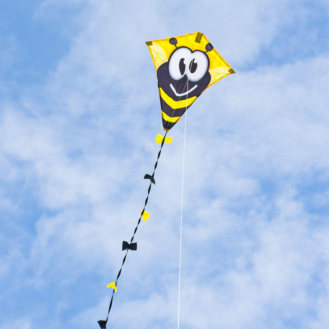 Kinderdrachen HQ Eddy 50 Bumble Bee 102109 Gelb 45 x 50 cm 4/6