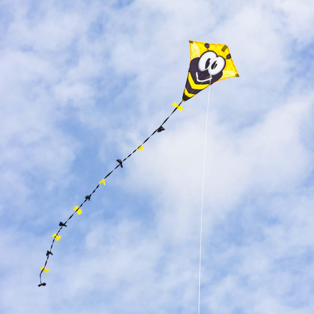 Kinderdrachen HQ Eddy 50 Bumble Bee 102109 Gelb 45 x 50 cm 6/6