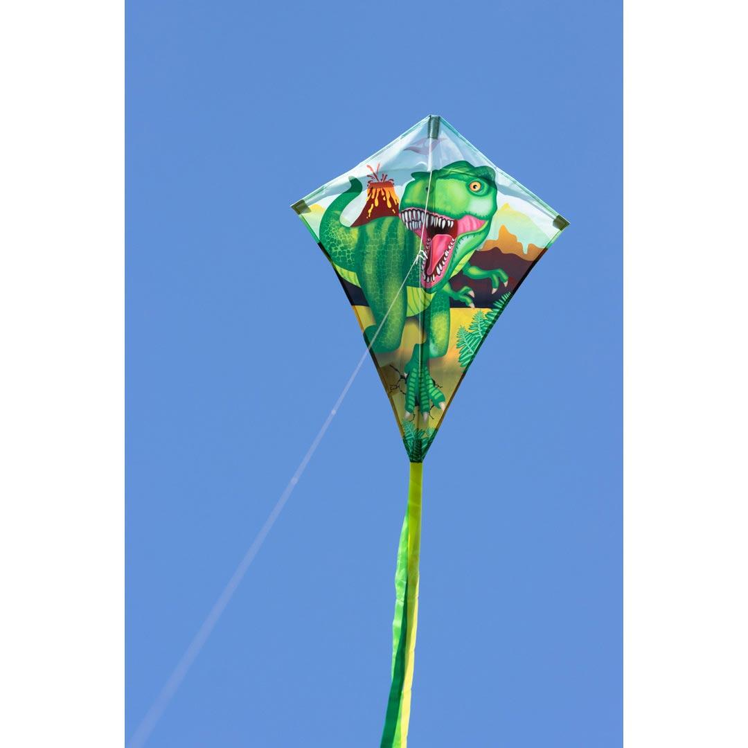 Pipa infantil HQ Eddy 70 T-Rex 102119 Verde 58 x 70 cm + 250 cm de cauda 4/5