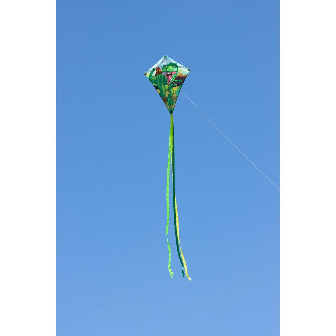 Pipa infantil HQ Eddy 70 T-Rex 102119 Verde 58 x 70 cm + 250 cm de cauda 5/5