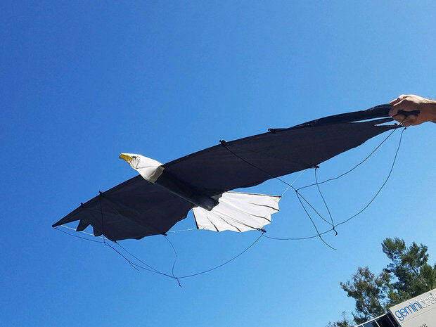 Pipa Acrobática Revolution Eagle VSRV00401 Preta 244 x 81 cm 5/7