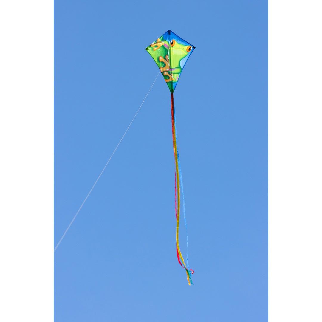 Papagaio para crianças HQ Eddy 70 Froggy 102121 Verde 58 x 70 cm 3/4