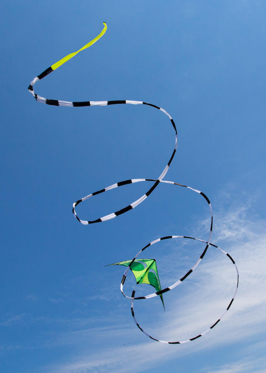 Cauda de papagaio Prism Tube Tail 75 pés preto e branco TT75 Preto 22 m 4/4