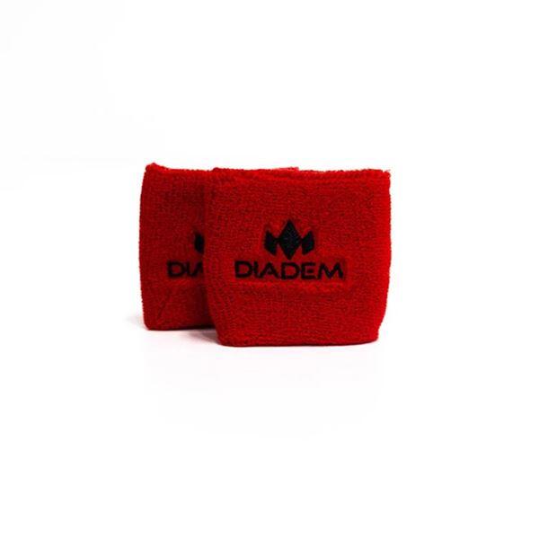 DIADEM picture