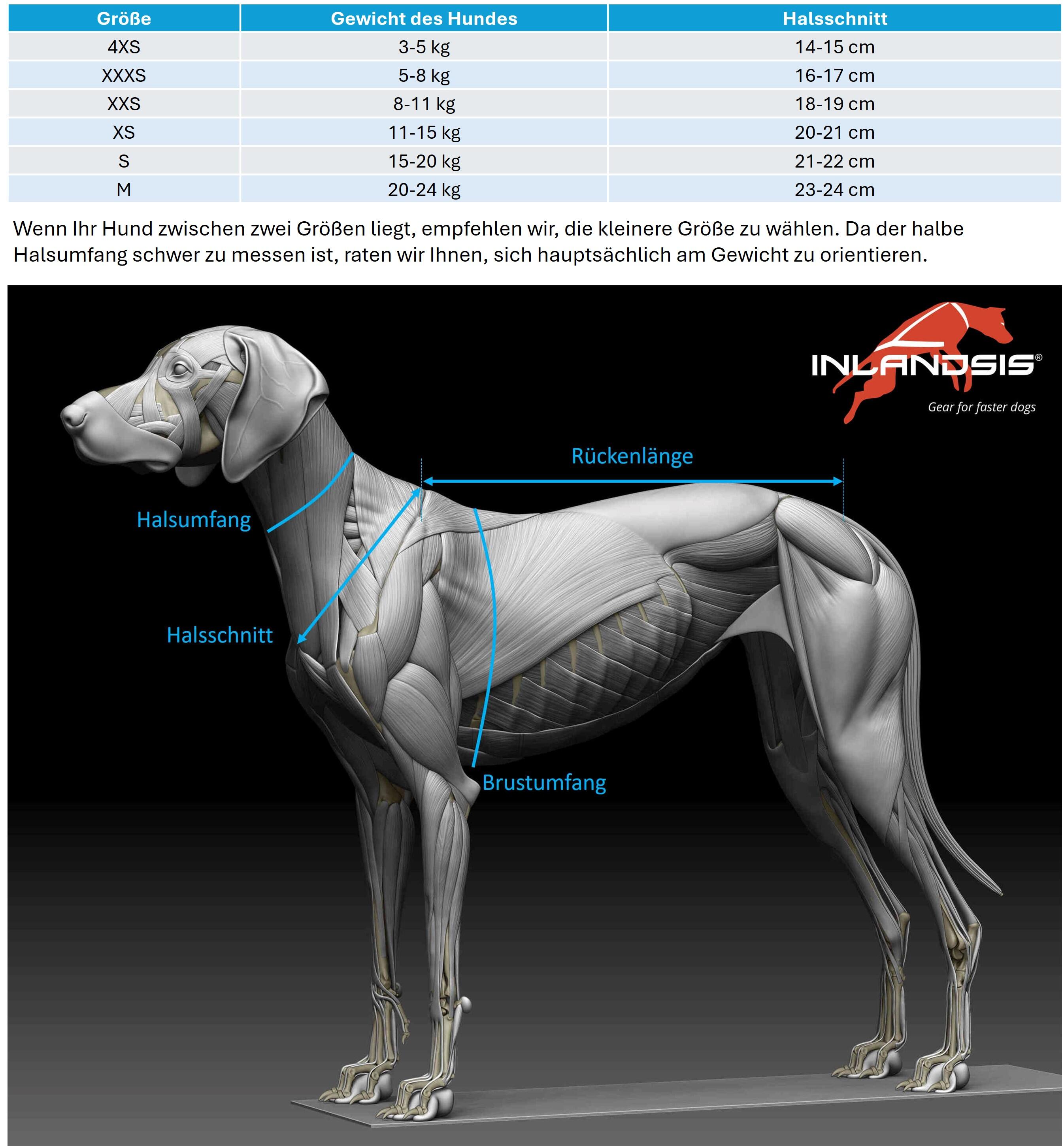 Harnais canicross petit chien Open-Back – Inlandsis 3/7
