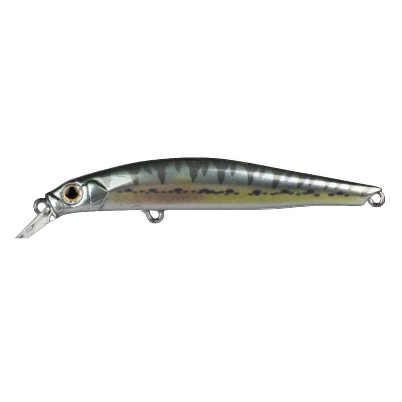 Poisson Nageur Jackson Artist FR80 (VAIRON)