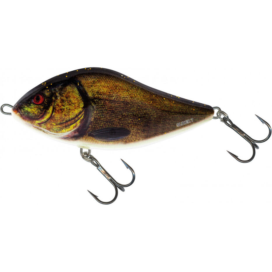 SALMO picture