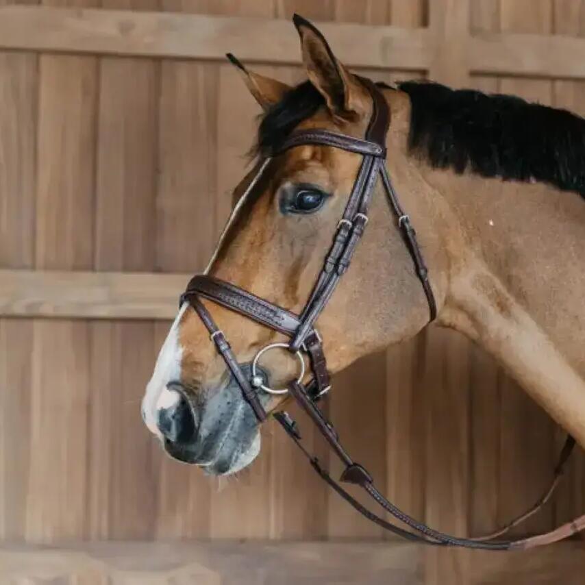 Anatomical riding bridle with combined braided noseband and pull Dy'on