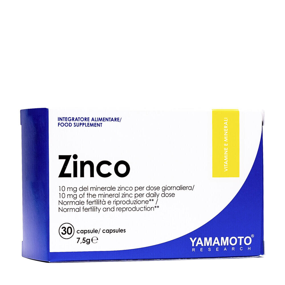 YAMAMOTO picture